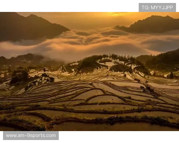 太阳势头拉满，焕发活力的关键时刻